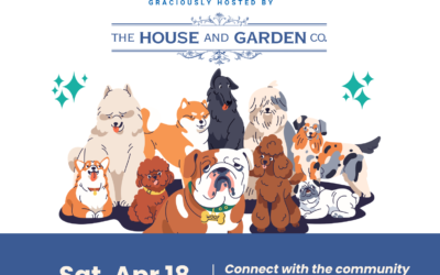 Dog Adoption and Fundraising Event